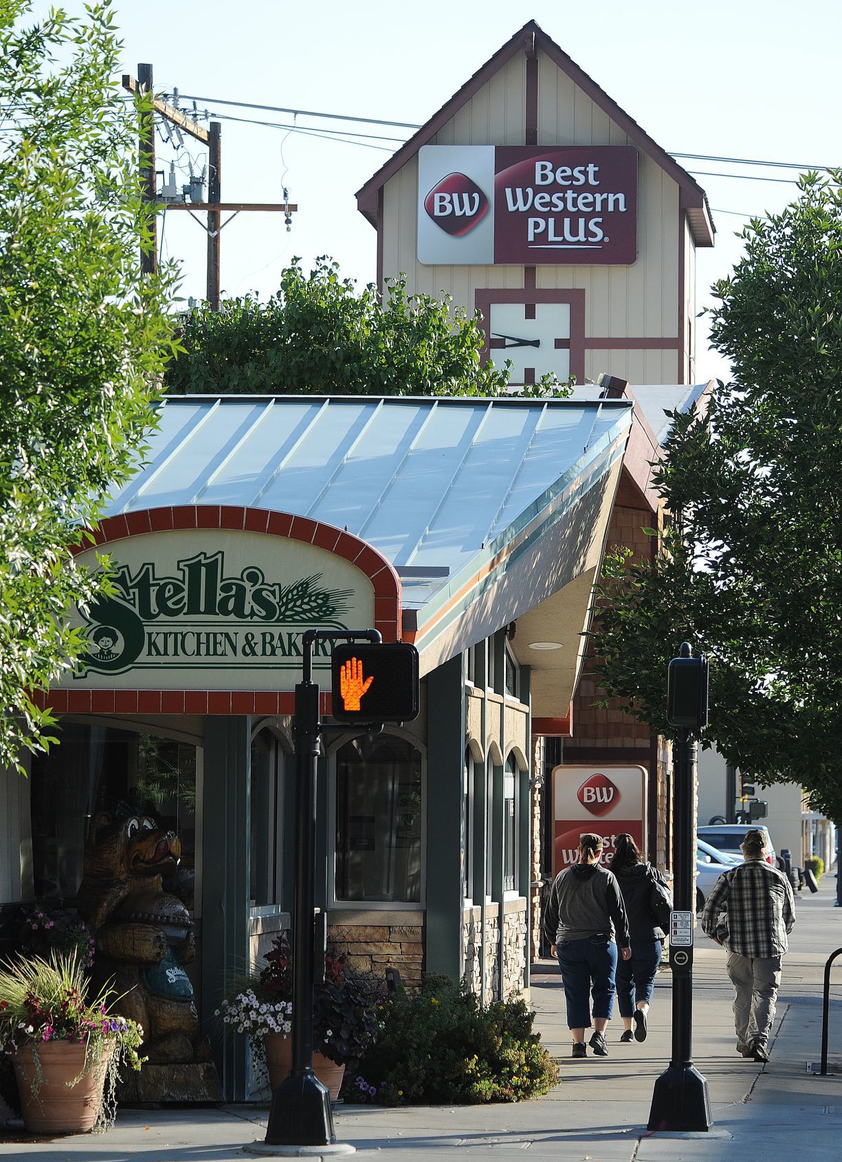 Stellas